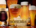 Cerveja Bohemia Lata 350ml